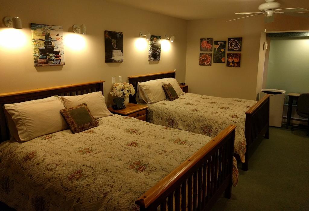 Cedar Wood Lodge Bed & Breakfast Inn 포트알버니 외부 사진